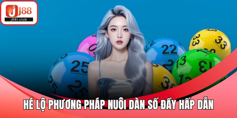 Hé lộ phương pháp nuôi dàn số đầy hấp dẫn