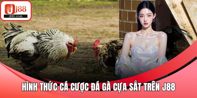 Hình thức cá cược đá gà cựa sắt trên J88
