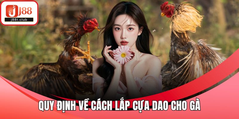 Quy định về cách lắp cựa dao cho gà