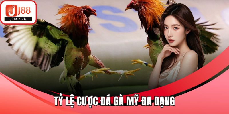 Tỷ lệ cược đá gà Mỹ đa dạng